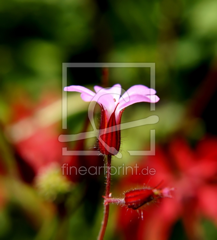 frei w&auml;hlbarer Bildausschnitt f&uuml;r Ihr Bild auf Tischdecke