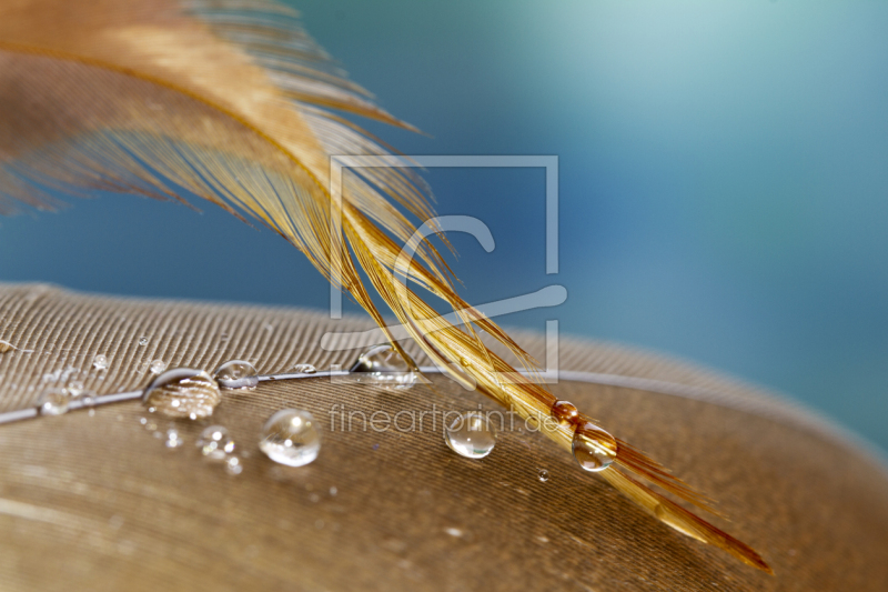 frei w&auml;hlbarer Bildausschnitt f&uuml;r Ihr Bild auf Tischdecke