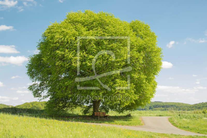 frei wählbarer Bildausschnitt für Ihr Bild auf Tischdecke