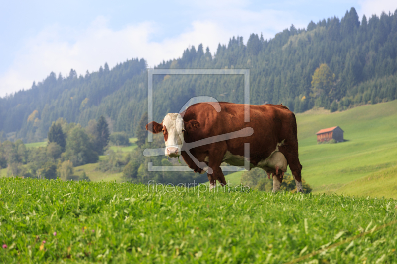 frei wählbarer Bildausschnitt für Ihr Bild auf Tischdecke
