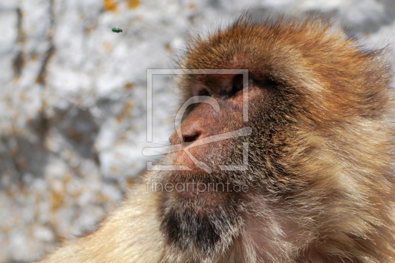 frei w&auml;hlbarer Bildausschnitt f&uuml;r Ihr Bild auf Tischdecke