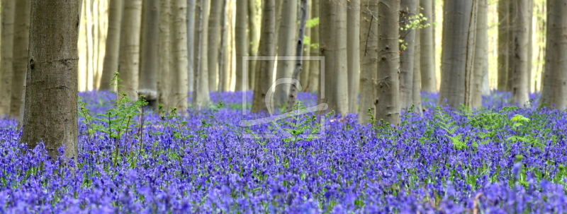 frei wählbarer Bildausschnitt für Ihr Bild auf Tischdecke