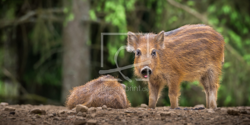 frei wählbarer Bildausschnitt für Ihr Bild auf Tischdecke