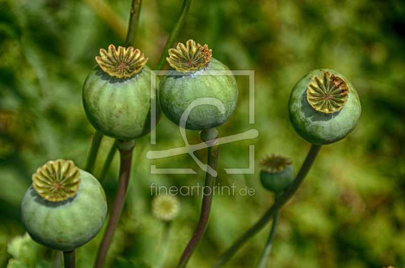 frei w&auml;hlbarer Bildausschnitt f&uuml;r Ihr Bild auf Tischdecke