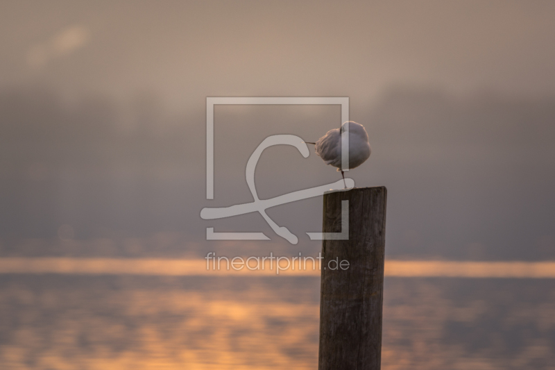 frei wählbarer Bildausschnitt für Ihr Bild auf Tischdecke