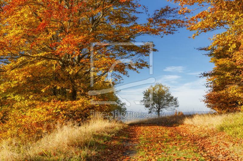 frei wählbarer Bildausschnitt für Ihr Bild auf Tischdecke
