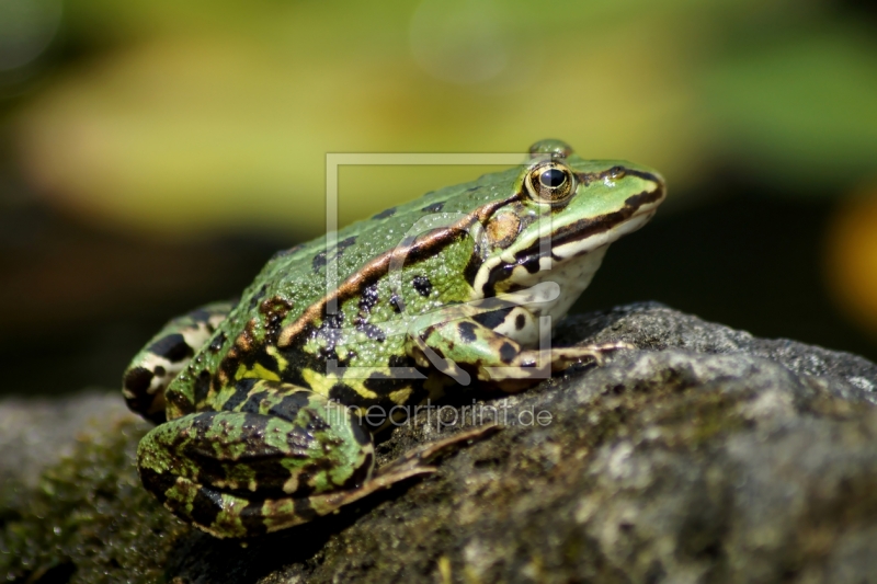 frei wählbarer Bildausschnitt für Ihr Bild auf Tischdecke