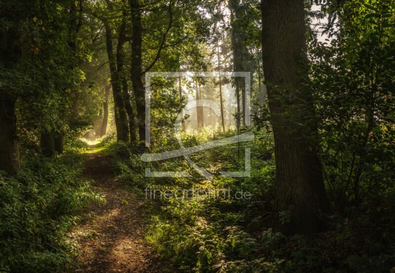 frei wählbarer Bildausschnitt für Ihr Bild auf Tischdecke