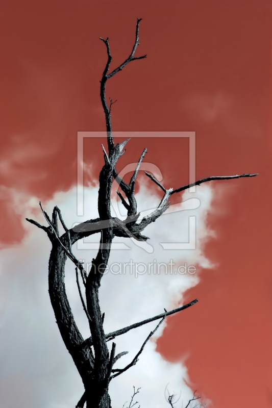 frei w&auml;hlbarer Bildausschnitt f&uuml;r Ihr Bild auf Tischdecke