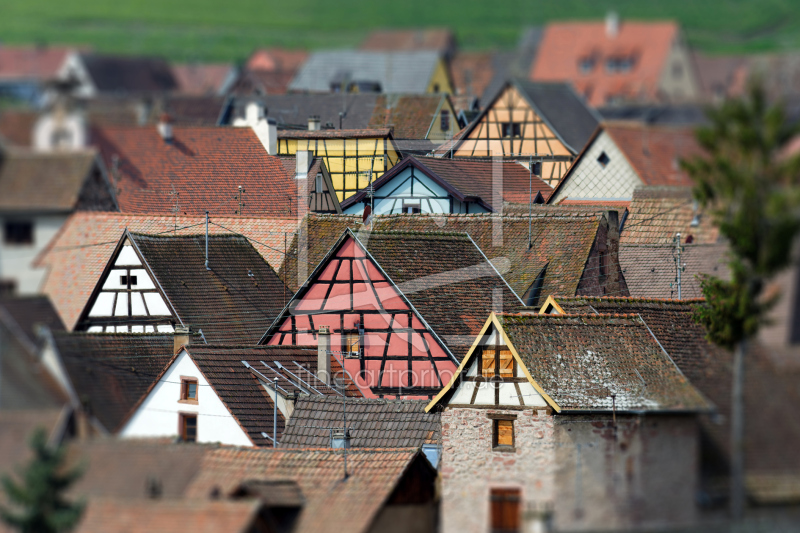 frei wählbarer Bildausschnitt für Ihr Bild auf Tischdecke