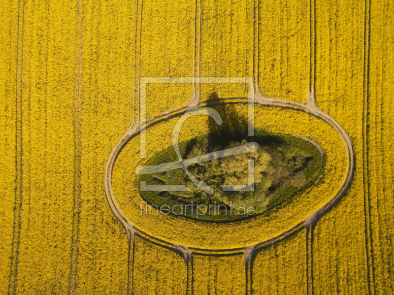 frei wählbarer Bildausschnitt für Ihr Bild auf Tischdecke