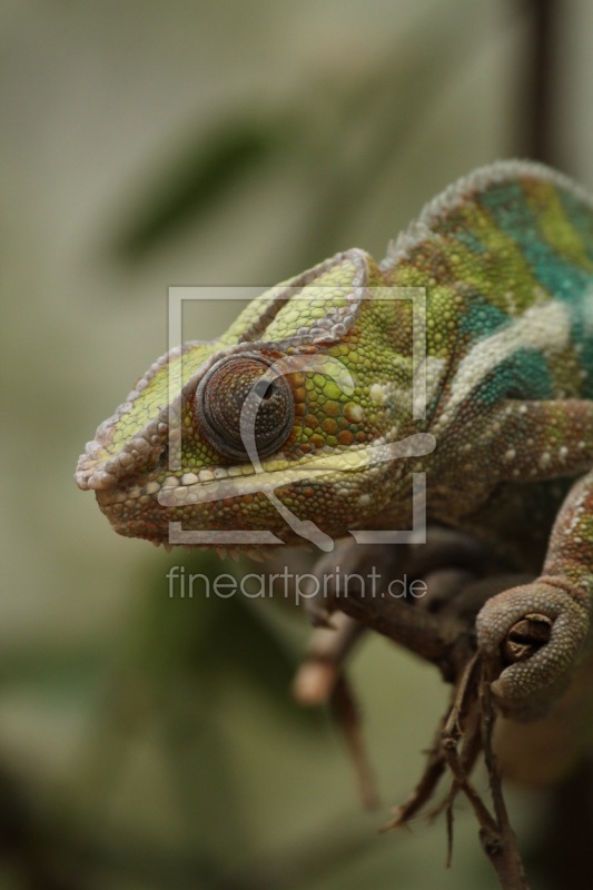 frei w&auml;hlbarer Bildausschnitt f&uuml;r Ihr Bild auf Tischdecke