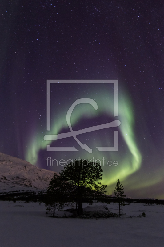 frei w&auml;hlbarer Bildausschnitt f&uuml;r Ihr Bild auf Tischdecke