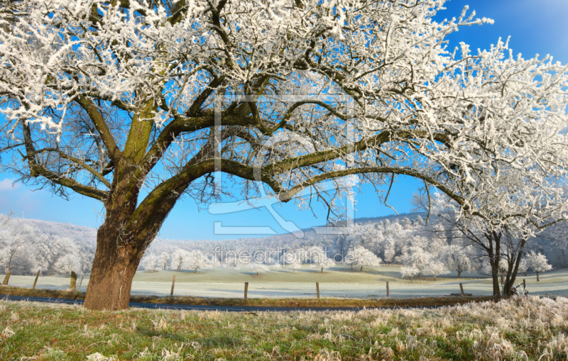 frei wählbarer Bildausschnitt für Ihr Bild auf Tischdecke