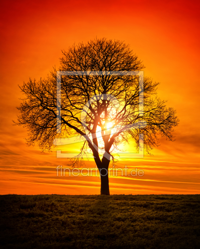 frei wählbarer Bildausschnitt für Ihr Bild auf Tischdecke