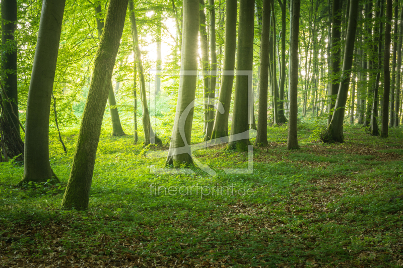 frei wählbarer Bildausschnitt für Ihr Bild auf Tischdecke