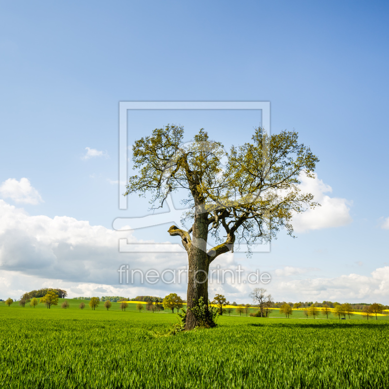 frei wählbarer Bildausschnitt für Ihr Bild auf Tischdecke