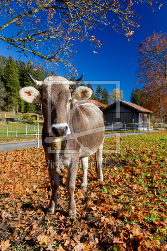 frei wählbarer Bildausschnitt für Ihr Bild auf Tischdecke