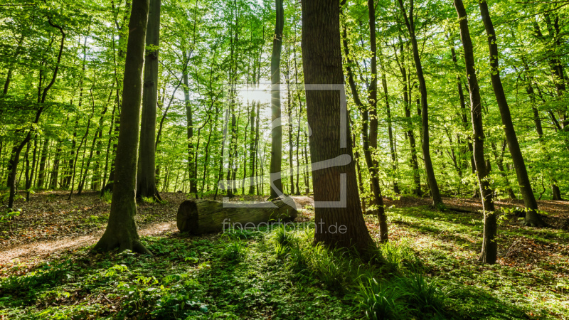frei wählbarer Bildausschnitt für Ihr Bild auf Tischdecke