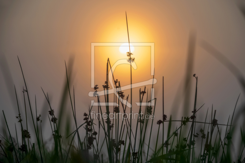 frei wählbarer Bildausschnitt für Ihr Bild auf Tischdecke