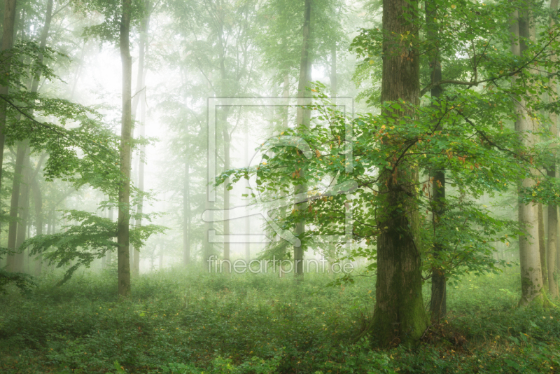 frei wählbarer Bildausschnitt für Ihr Bild auf Tischdecke