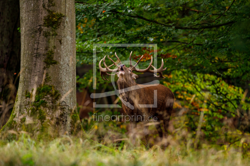 frei w&auml;hlbarer Bildausschnitt f&uuml;r Ihr Bild auf Tischdecke
