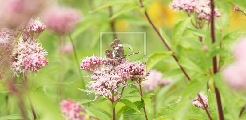 frei wählbarer Bildausschnitt für Ihr Bild auf Tischdecke