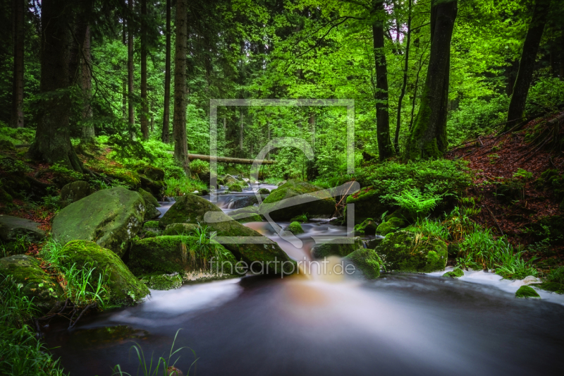 frei wählbarer Bildausschnitt für Ihr Bild auf Tischdecke