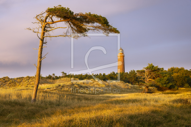 frei w&auml;hlbarer Bildausschnitt f&uuml;r Ihr Bild auf Tischdecke
