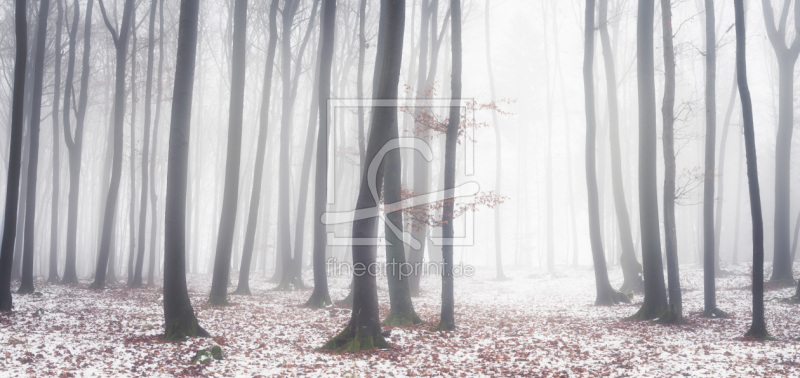 frei wählbarer Bildausschnitt für Ihr Bild auf Tischdecke