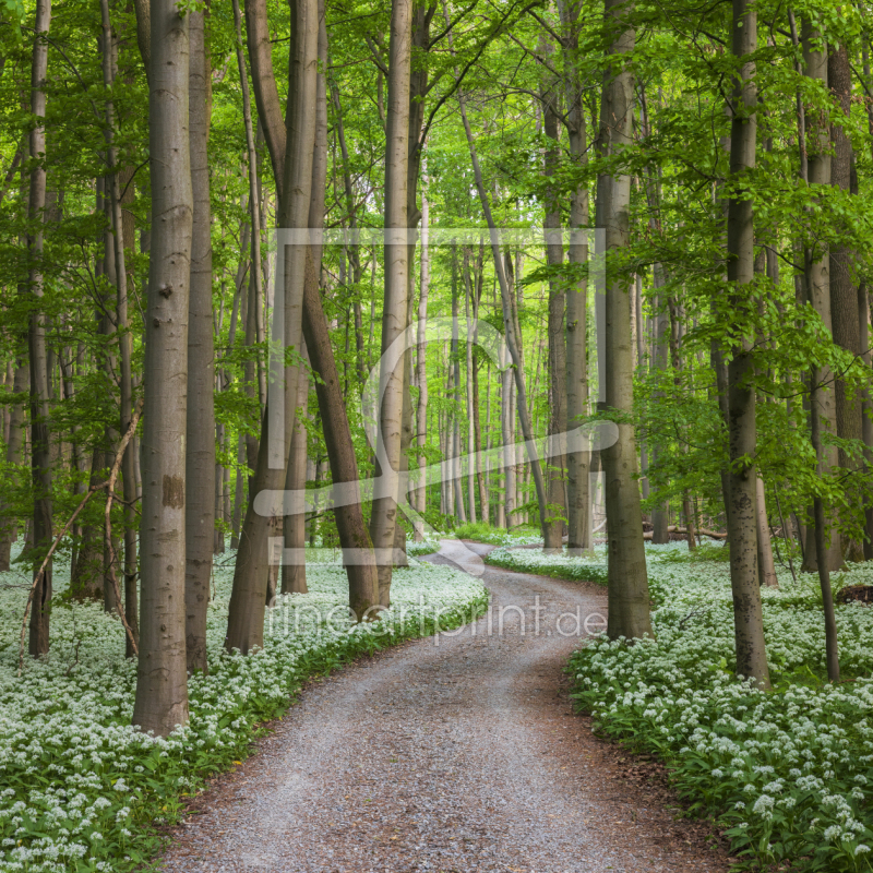 frei wählbarer Bildausschnitt für Ihr Bild auf Tischdecke