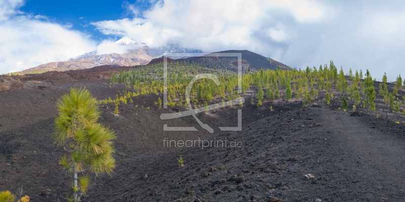 frei w&auml;hlbarer Bildausschnitt f&uuml;r Ihr Bild auf Tischdecke