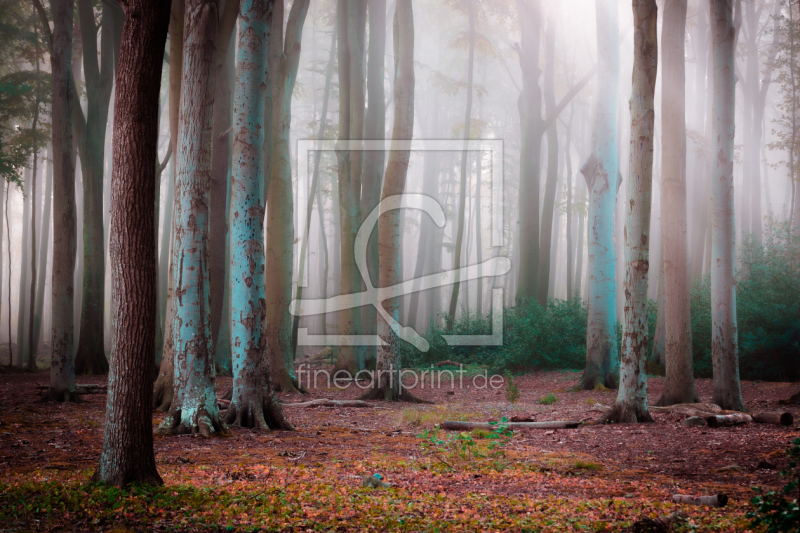 frei w&auml;hlbarer Bildausschnitt f&uuml;r Ihr Bild auf Tischdecke