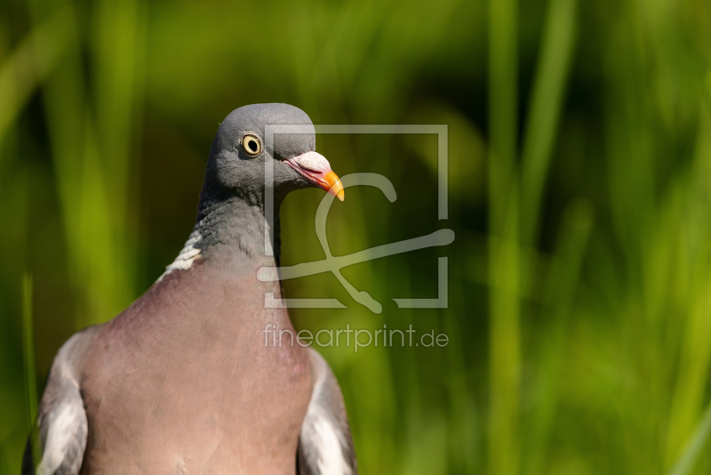 frei w&auml;hlbarer Bildausschnitt f&uuml;r Ihr Bild auf Tischdecke