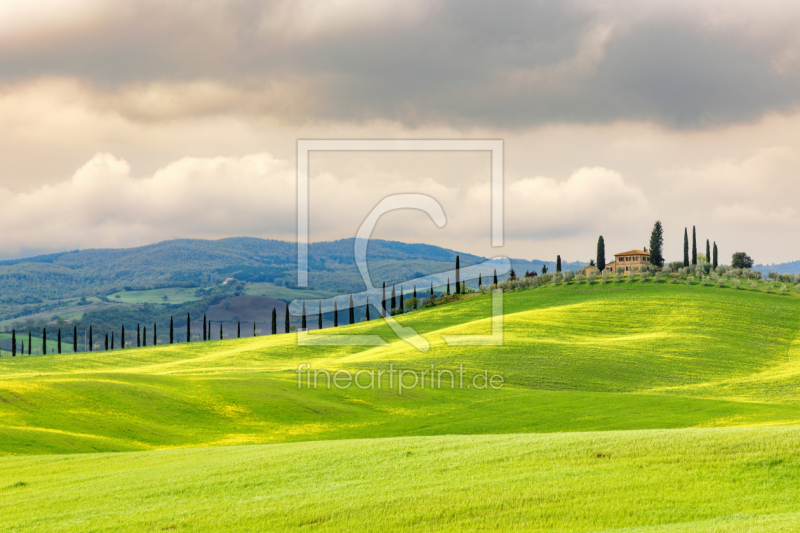 frei wählbarer Bildausschnitt für Ihr Bild auf Tischdecke