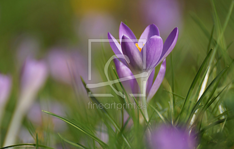 frei w&auml;hlbarer Bildausschnitt f&uuml;r Ihr Bild auf Tischdecke