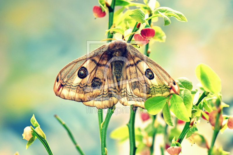 frei w&auml;hlbarer Bildausschnitt f&uuml;r Ihr Bild auf Tischdecke