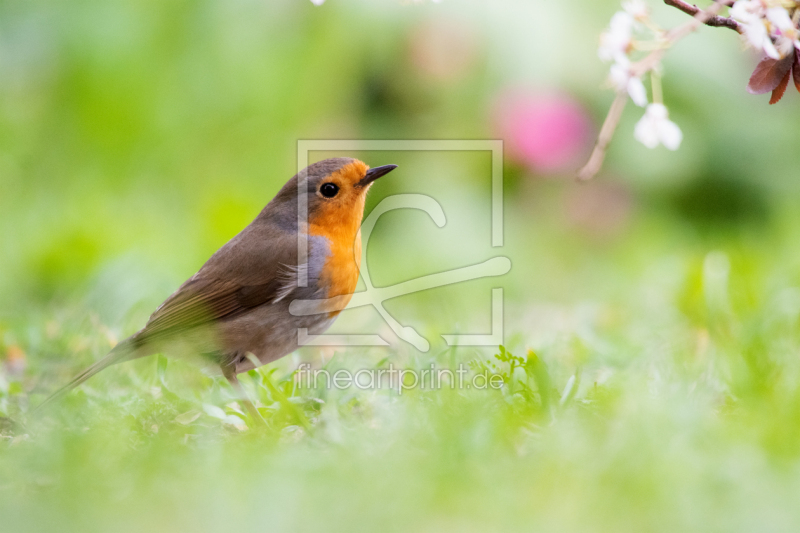 frei wählbarer Bildausschnitt für Ihr Bild auf Tischdecke