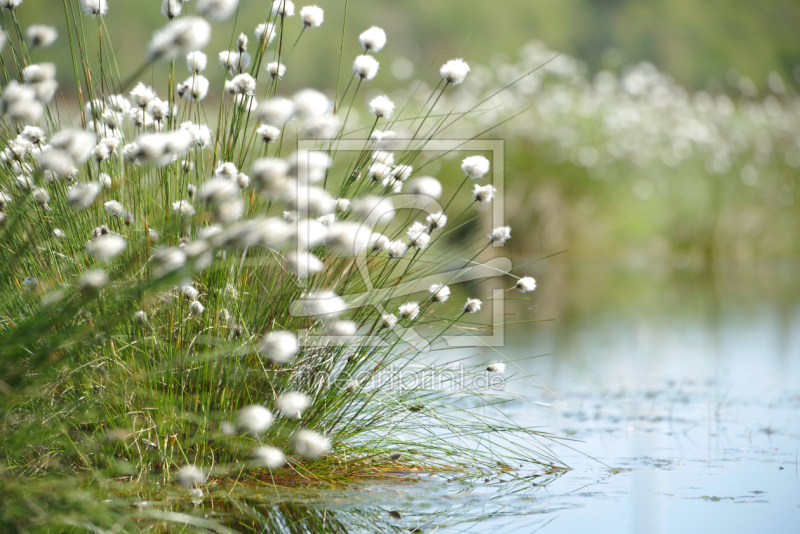 frei w&auml;hlbarer Bildausschnitt f&uuml;r Ihr Bild auf Tischdecke