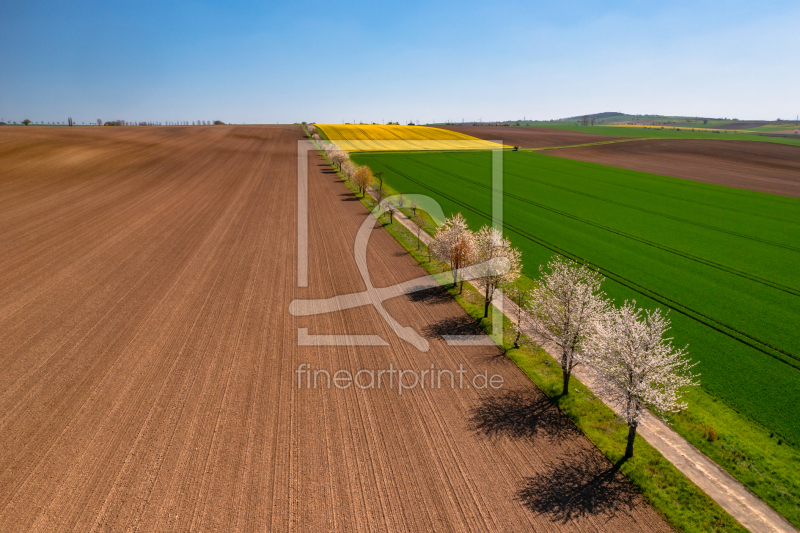 frei w&auml;hlbarer Bildausschnitt f&uuml;r Ihr Bild auf Tischdecke