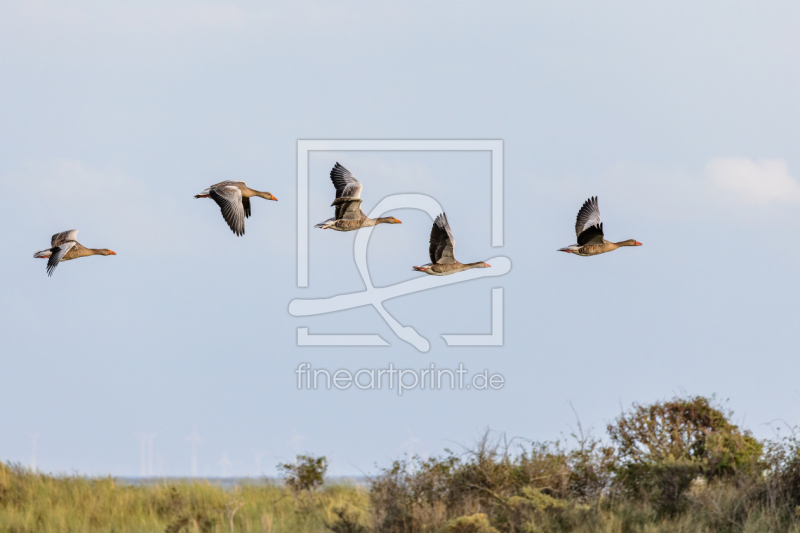 frei w&auml;hlbarer Bildausschnitt f&uuml;r Ihr Bild auf Tischdecke