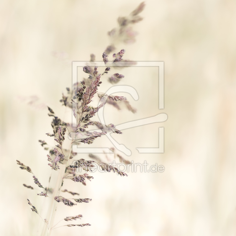 frei w&auml;hlbarer Bildausschnitt f&uuml;r Ihr Bild auf Tischdecke