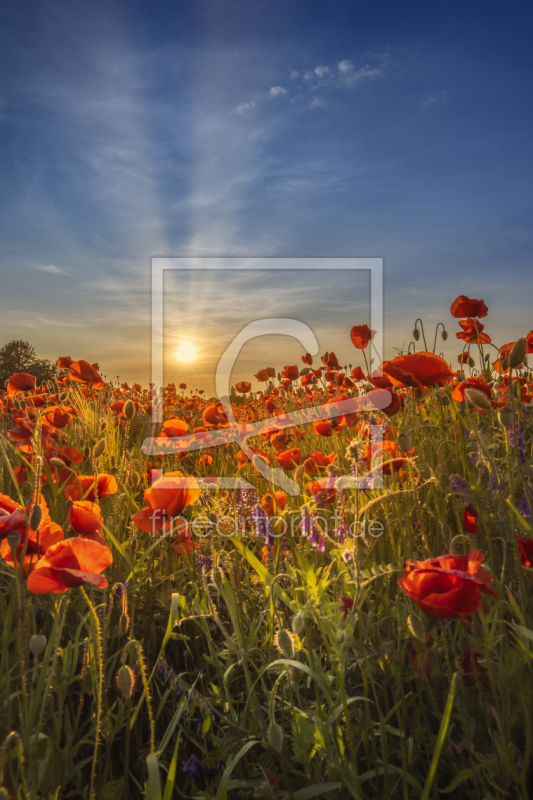 frei w&auml;hlbarer Bildausschnitt f&uuml;r Ihr Bild auf Tischdecke