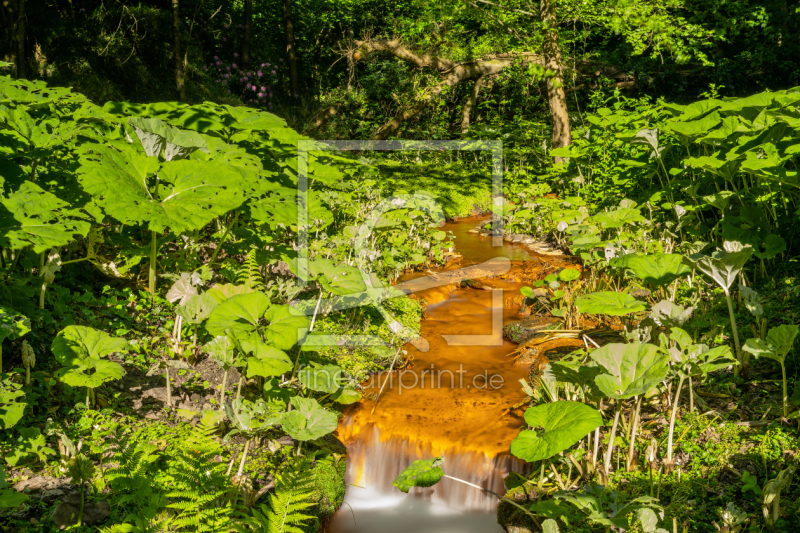 frei w&auml;hlbarer Bildausschnitt f&uuml;r Ihr Bild auf Tischdecke