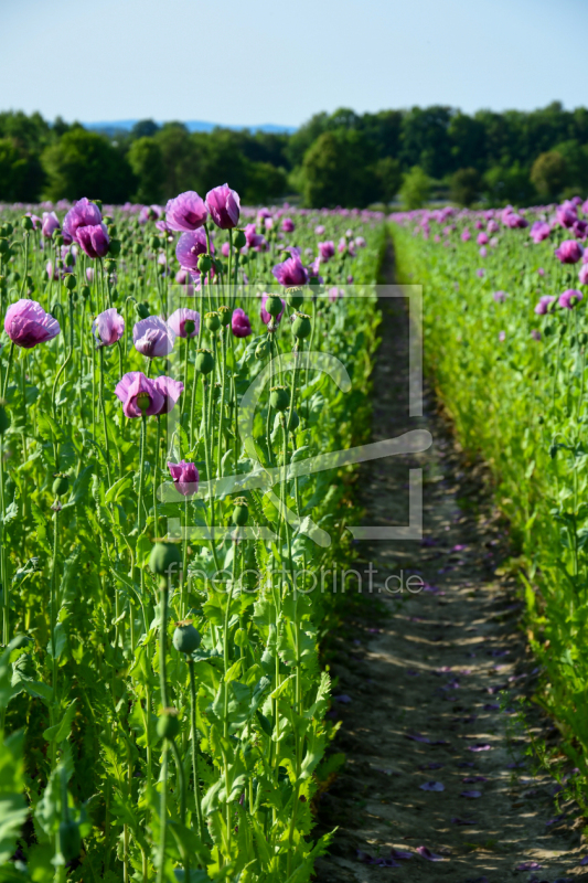 frei w&auml;hlbarer Bildausschnitt f&uuml;r Ihr Bild auf Tischdecke