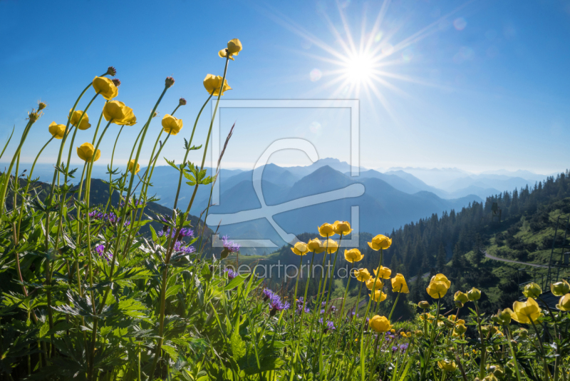 frei w&auml;hlbarer Bildausschnitt f&uuml;r Ihr Bild auf Tischdecke
