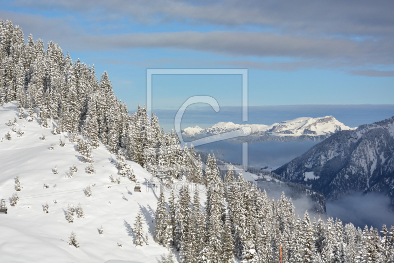 frei wählbarer Bildausschnitt für Ihr Bild auf Tischdecke