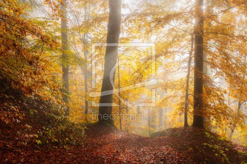 frei w&auml;hlbarer Bildausschnitt f&uuml;r Ihr Bild auf Tischdecke