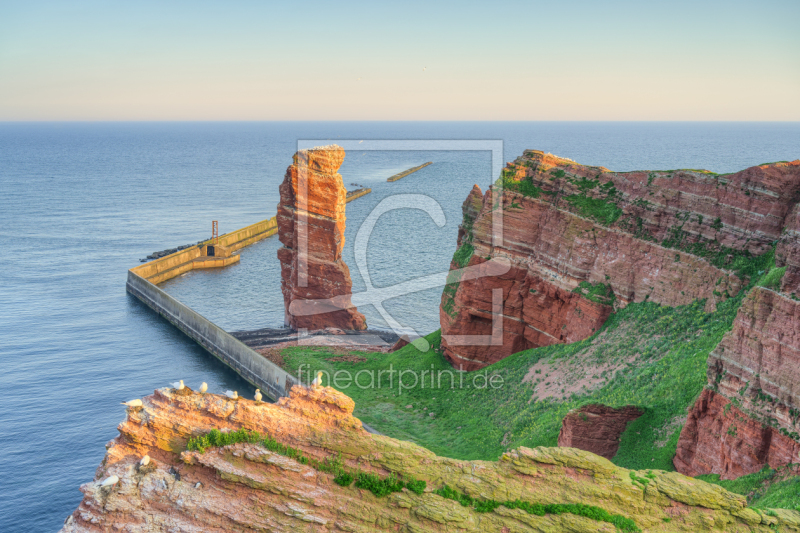 frei wählbarer Bildausschnitt für Ihr Bild auf Tischdecke