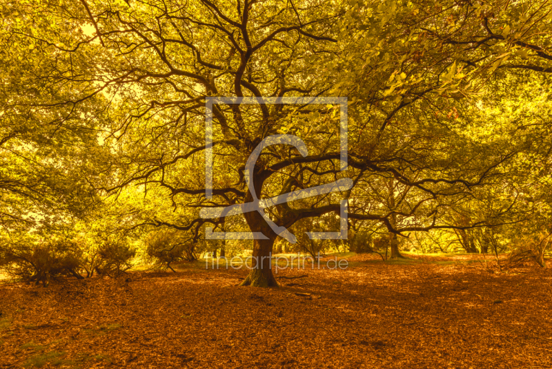 frei w&auml;hlbarer Bildausschnitt f&uuml;r Ihr Bild auf Tischdecke